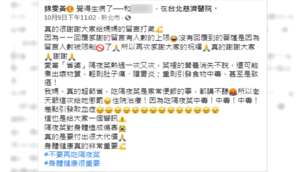 (圖/翻攝自黃錦雯 Fiona Facebook)