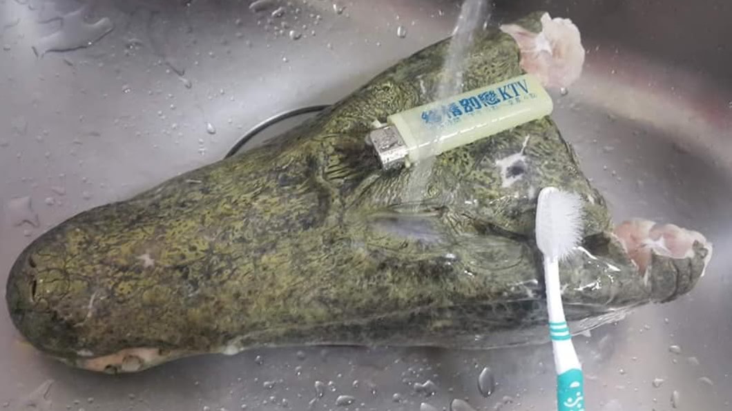 男子分享如何清洗鱷魚頭。(圖/翻攝自臉書社團全聯消費經驗老實說)