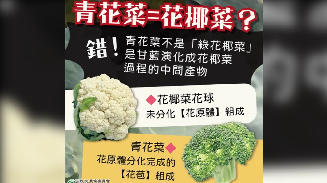 青花菜與花椰菜其實是不一樣的。(圖/翻攝自農委會臉書)
