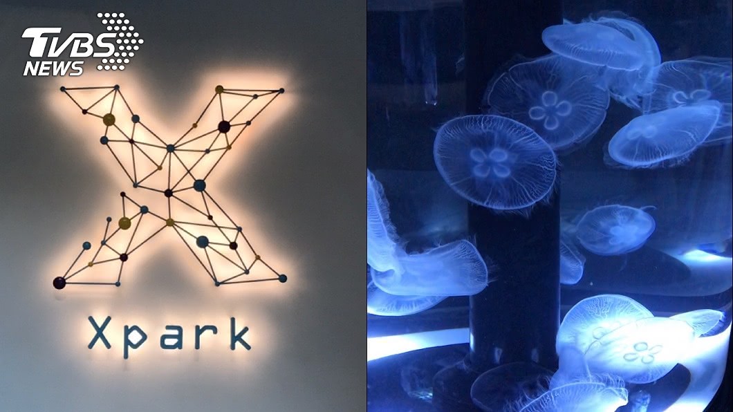 水母斷肢正常!Xpark908字回應:沒虐待動物