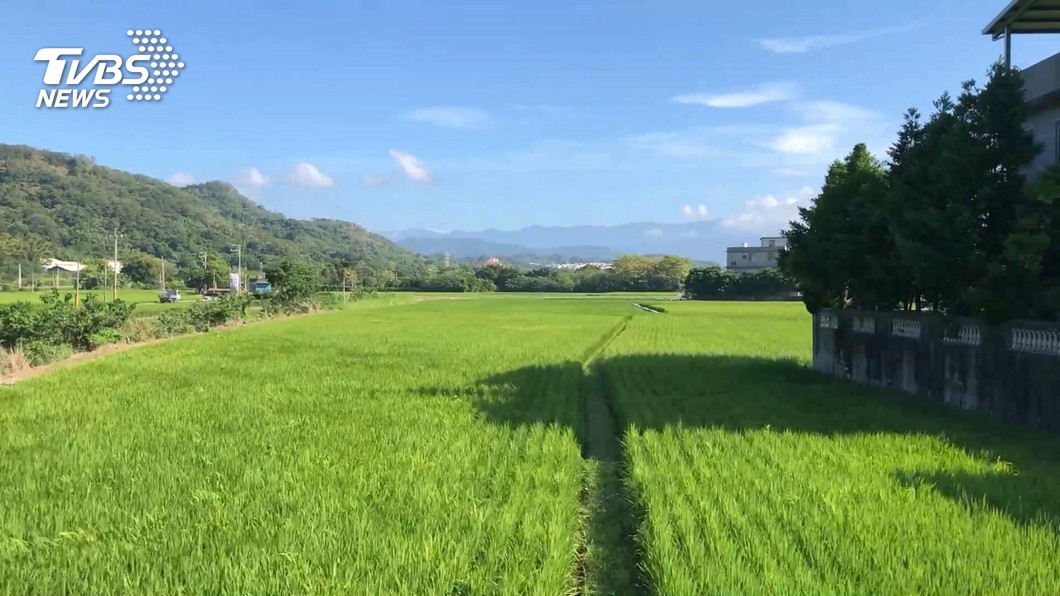 桃竹苗停灌補償30日截止　農水署籲把握時間申辦