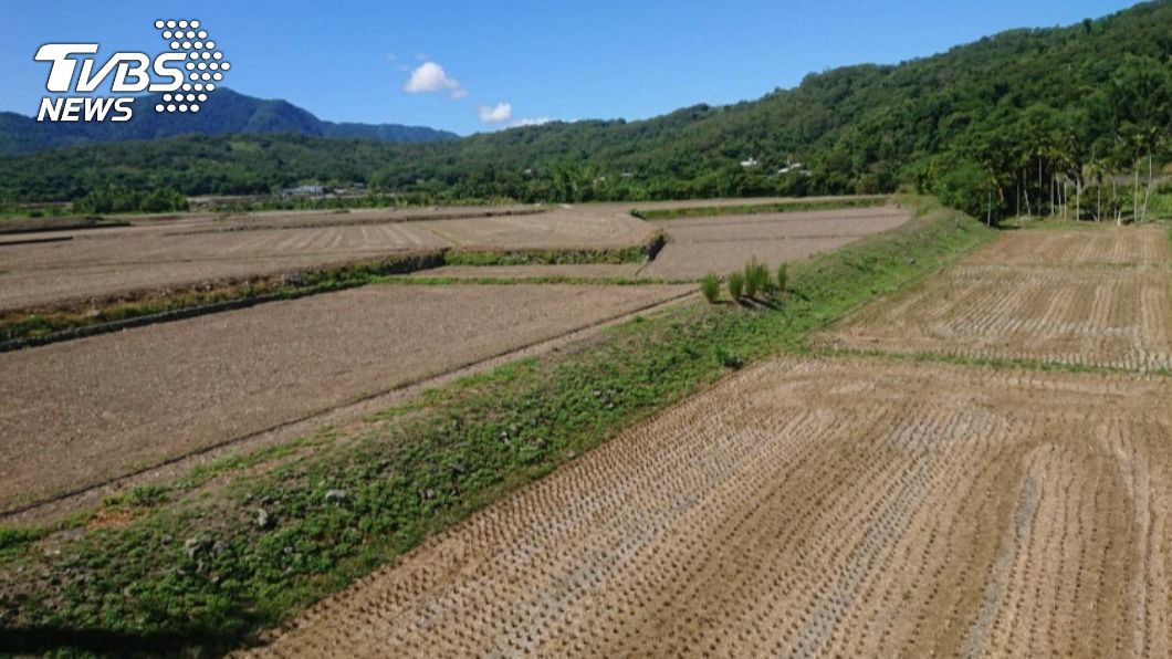 停灌補助每公頃14萬　水利署下週公布其餘作物補償