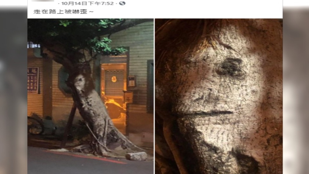 網友在路上驚見一棵「長臉的樹」。（圖／翻攝自「新·路上觀察學院」）