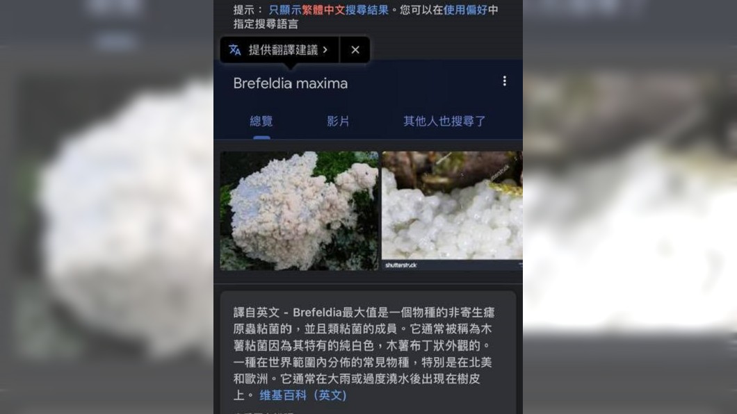 (圖/翻攝自爆系知識家)