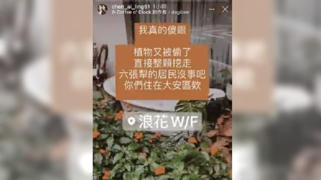 陳艾琳花店遭竊,氣得在IG發問。(圖/翻攝自陳艾琳IG)