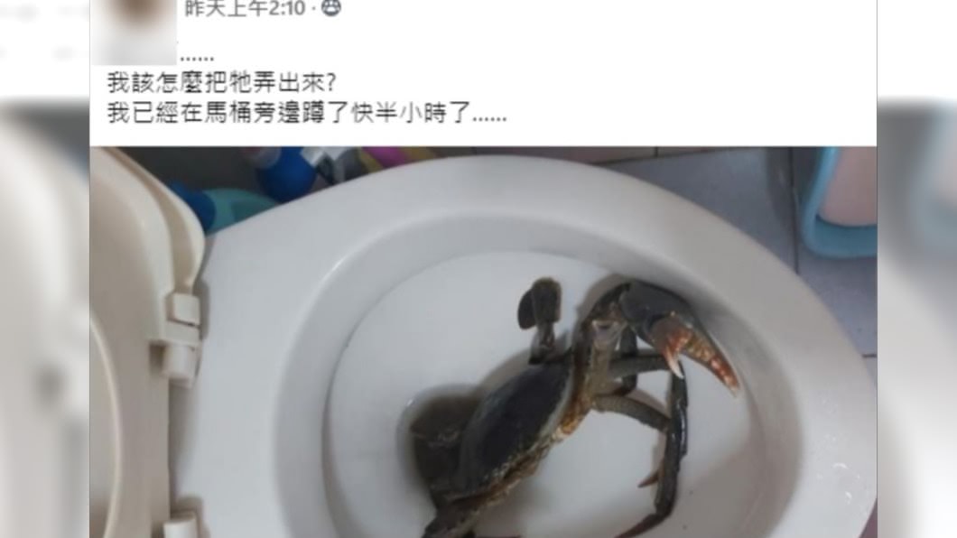 男網友表示自己已在馬桶旁蹲了半小時。(圖/翻攝自「爆廢公社二館」)