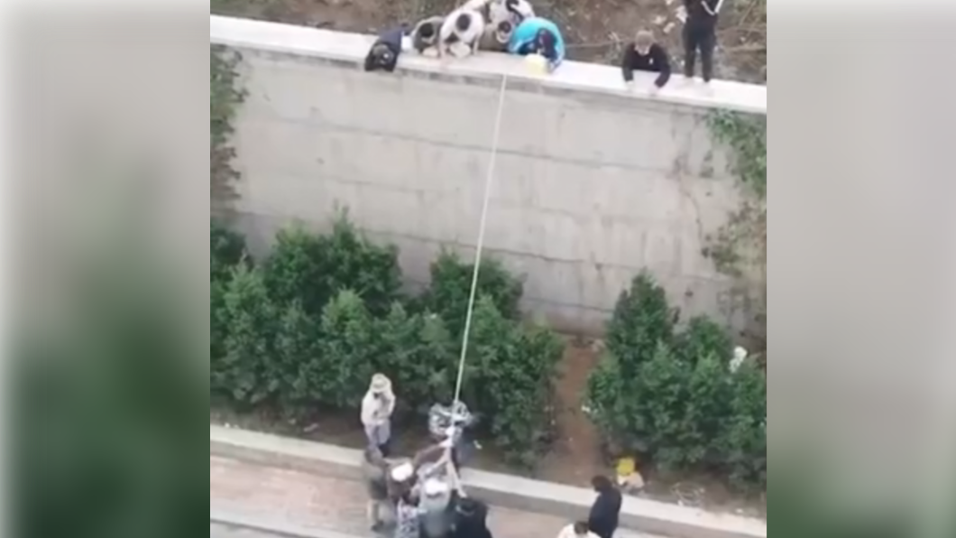 圖/翻攝自澎湃視頻 微博
