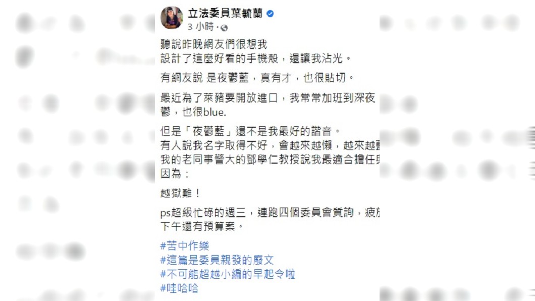 葉毓蘭發文大讚網友很有才。(圖/翻攝自葉毓蘭臉書)