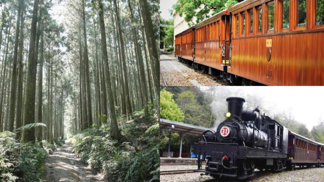 阿里山「森呼吸」之旅 檜木列車首登場俯瞰嘉南平原
