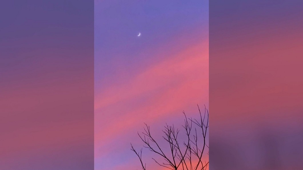 圖/翻攝自IG