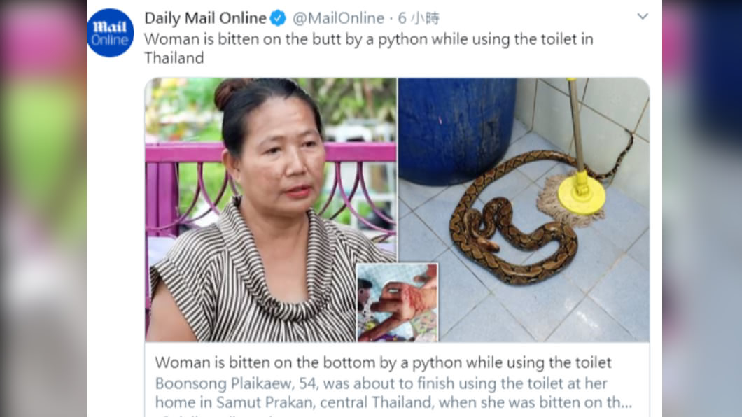 婦人遭蛇咬,滿身血逃離廁所。(圖/翻攝自推特/Daily Mail Online)