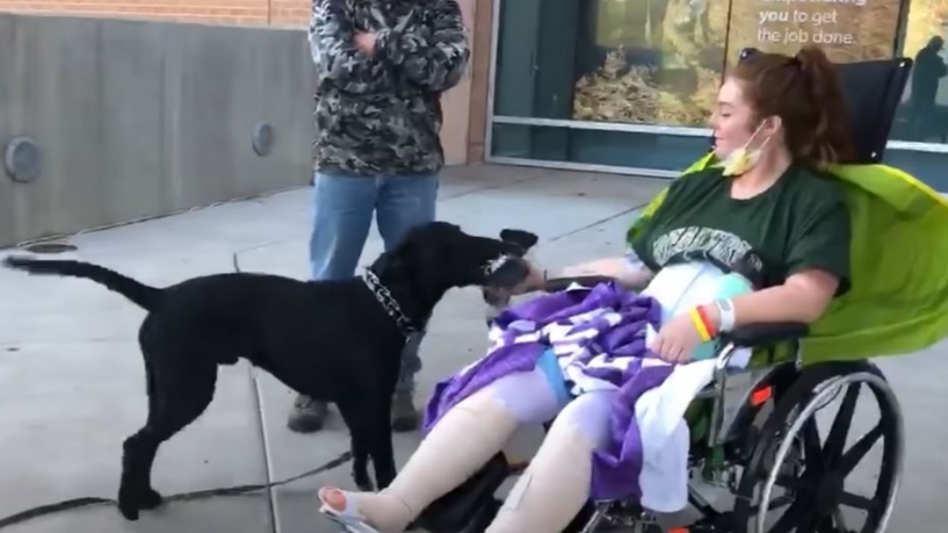 美吉普車翻落山壁 女子與愛犬奇蹟生還
