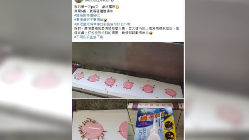 女子在網上分享除蟻成效,還比喻像辦桌。(圖/翻攝自臉書社團我愛全聯-好物老實説)
