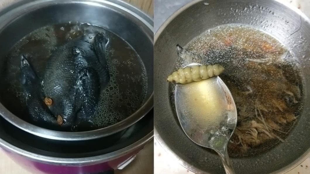 熱心網友解答這個像蟲蛹的東西，其實是植物草石蠶。（圖／翻攝自臉書社團我愛全聯-好物老實說）