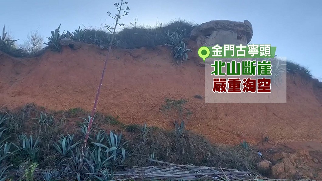 圖/董森堡提供
