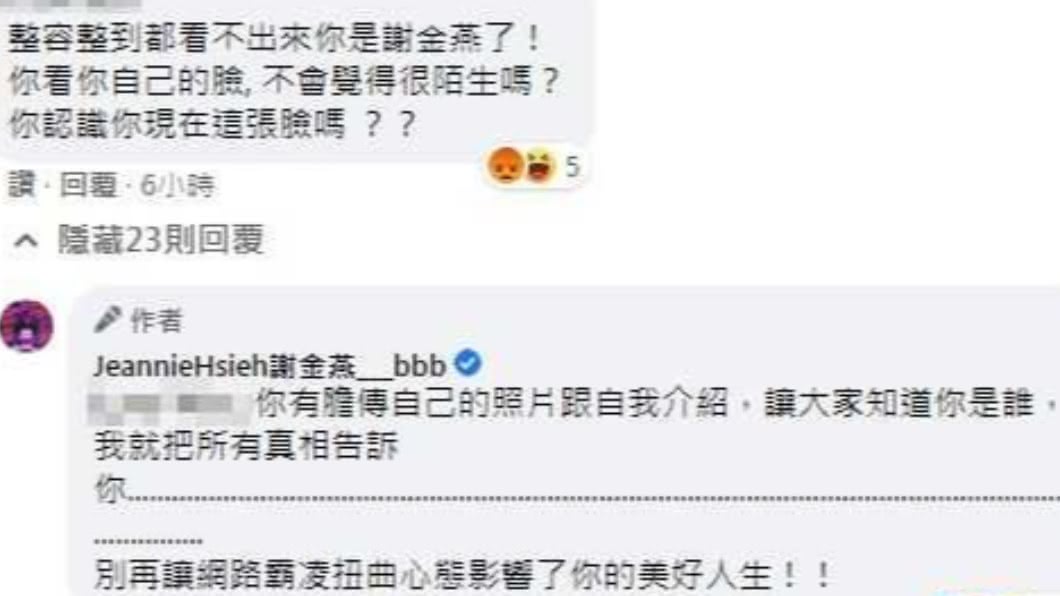 該則留言已被謝金燕刪除。(翻攝/謝金燕臉書)
