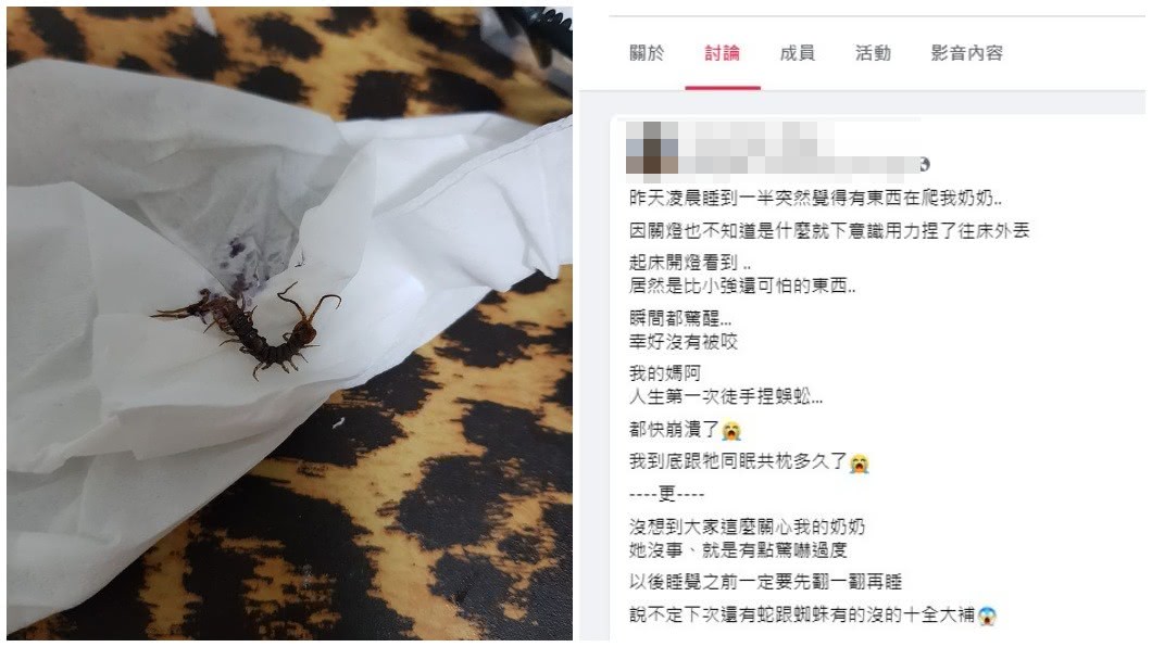 事後女網友表示隨手將異物捏爆一甩,開燈一看竟是蜈蚣。(圖/翻攝自爆怨2公社)