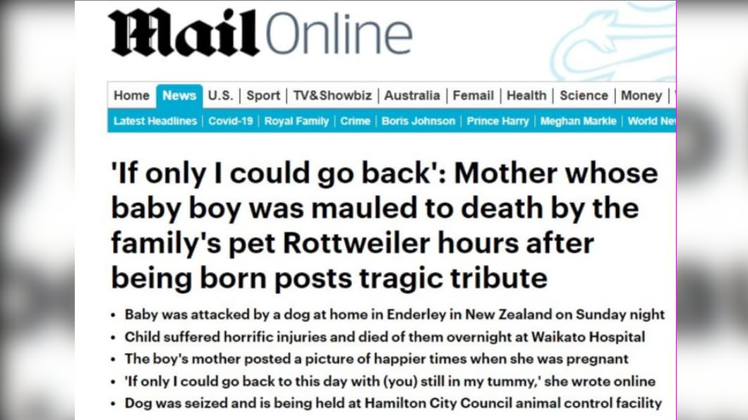 紐西蘭一隻羅威納犬咬死家中的新生兒。(圖/翻攝Dailymail)