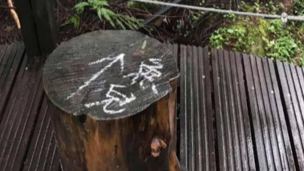 圖/羅東林管處提供