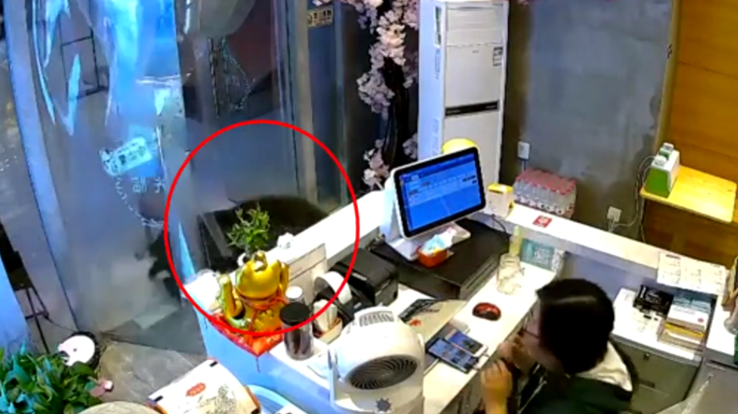 野豬衝進店內亂竄,店員嚇得急忙跳開。(圖/翻攝自澎湃新聞)