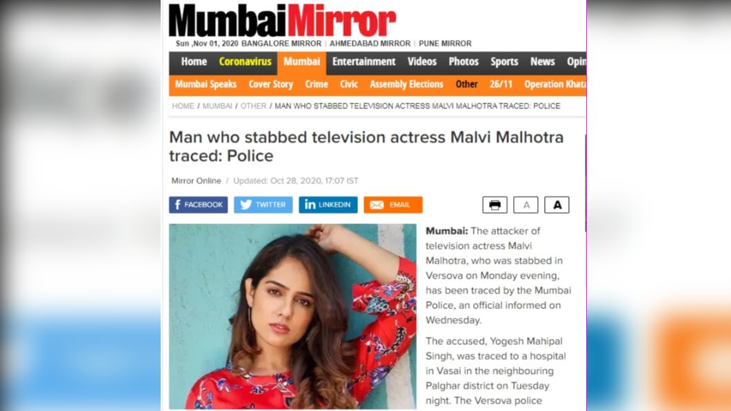 （圖／翻攝自mumbaimirror）