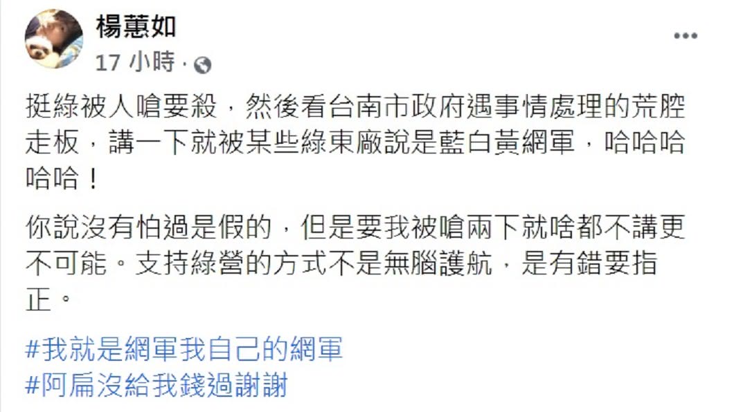 楊蕙如批台南挨轟是「藍白黃網軍」。（圖／翻攝自楊蕙如臉書）