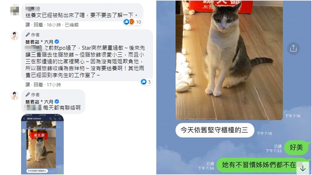 六月親自回應網友質疑。(圖/翻攝自六月臉書)