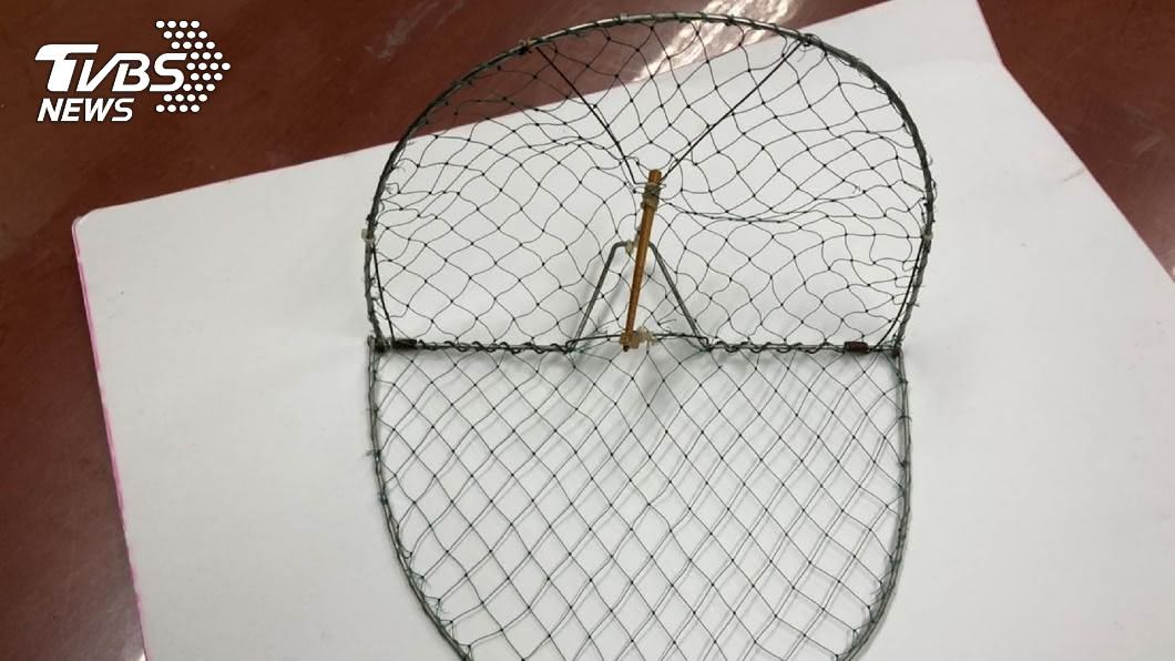 設陷阱「捉麻雀」稱好玩　新北男下場慘了