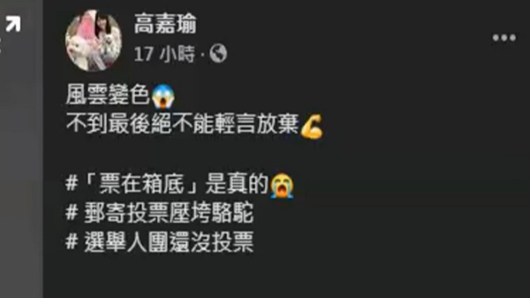 圖／翻攝自高嘉瑜臉書