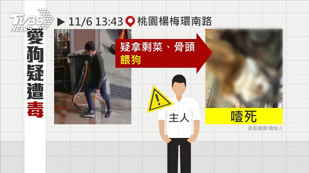 圖/TVBS、翻攝自楊梅人