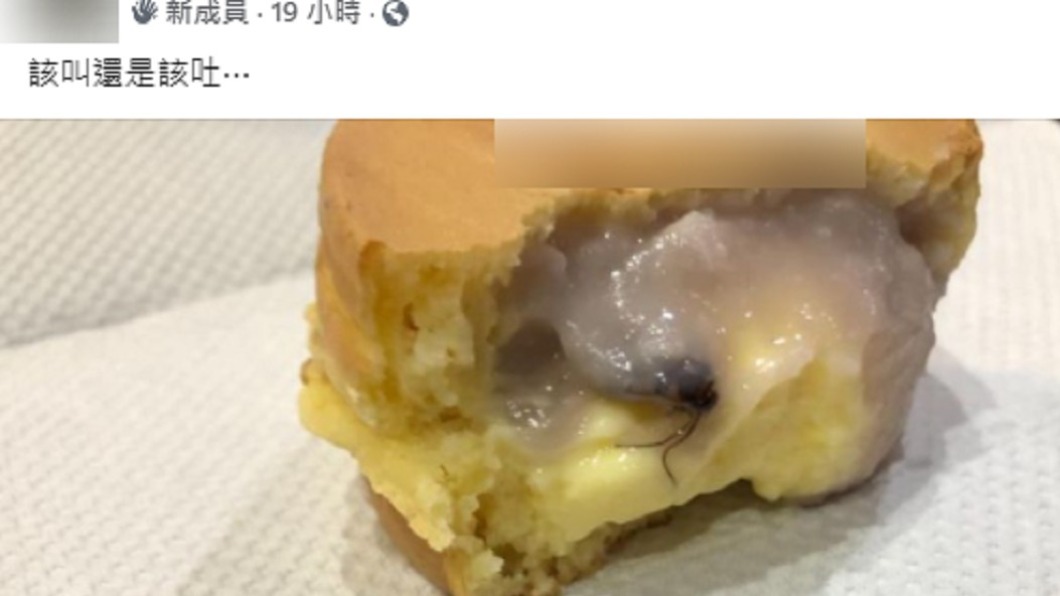 女網友分享買到的車輪餅夾著蟑螂。(圖/翻攝自「爆廢1公社」)