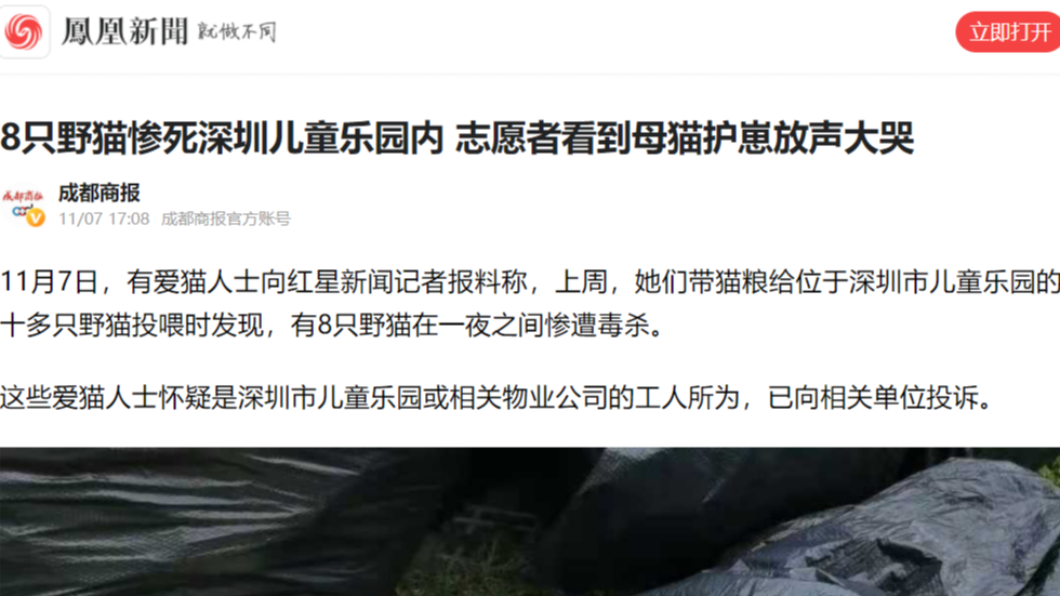 流浪貓在公園慘遭下毒虐殺,場面震撼。(圖/翻攝自鳳凰新聞)