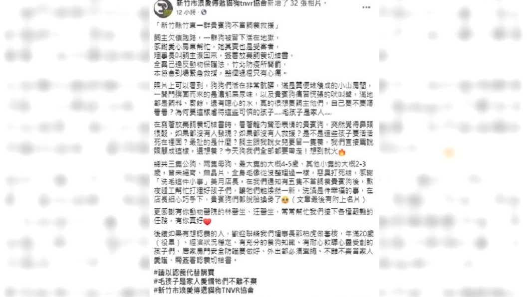 (圖/翻攝自新竹市浪愛傳遞貓狗TNVR協會臉書)