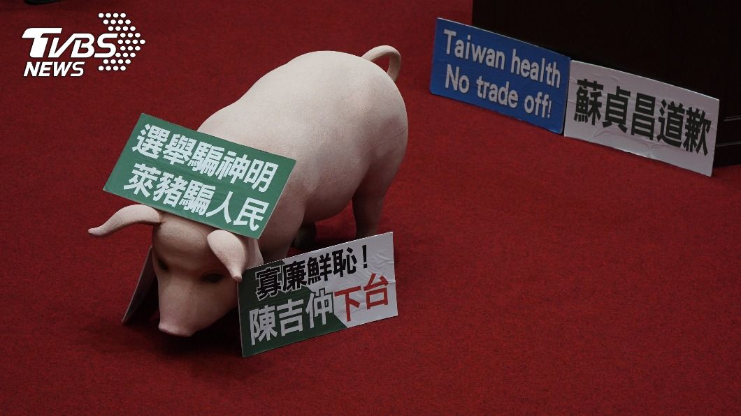 萊豬影片遭質疑造假 藍營:引用自國際動保團體
