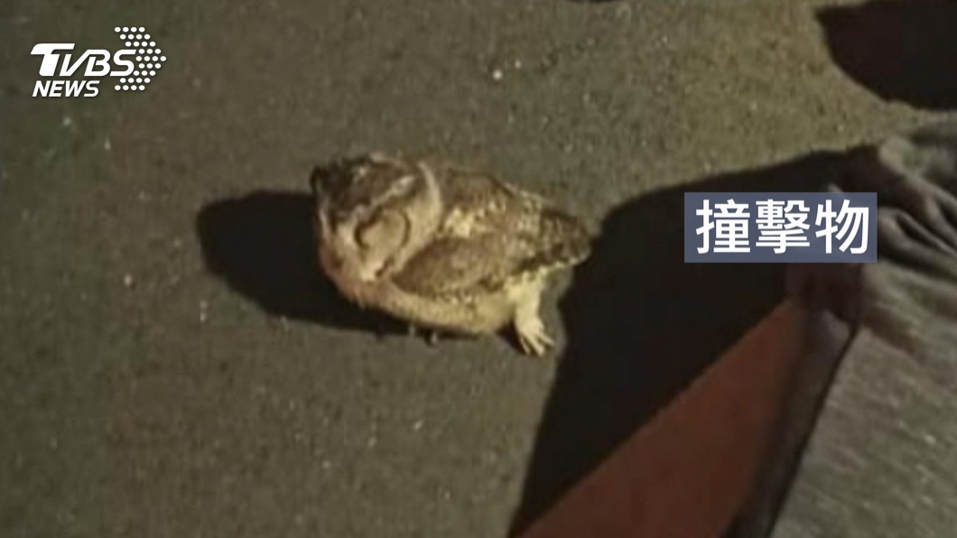 圖／TVBS