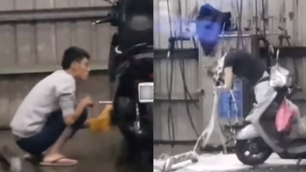 (圖/翻攝自爆廢1公社)