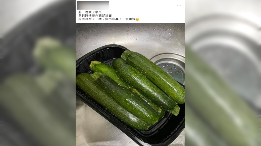 (圖/翻攝自Costco好市多 商品經驗老實說)