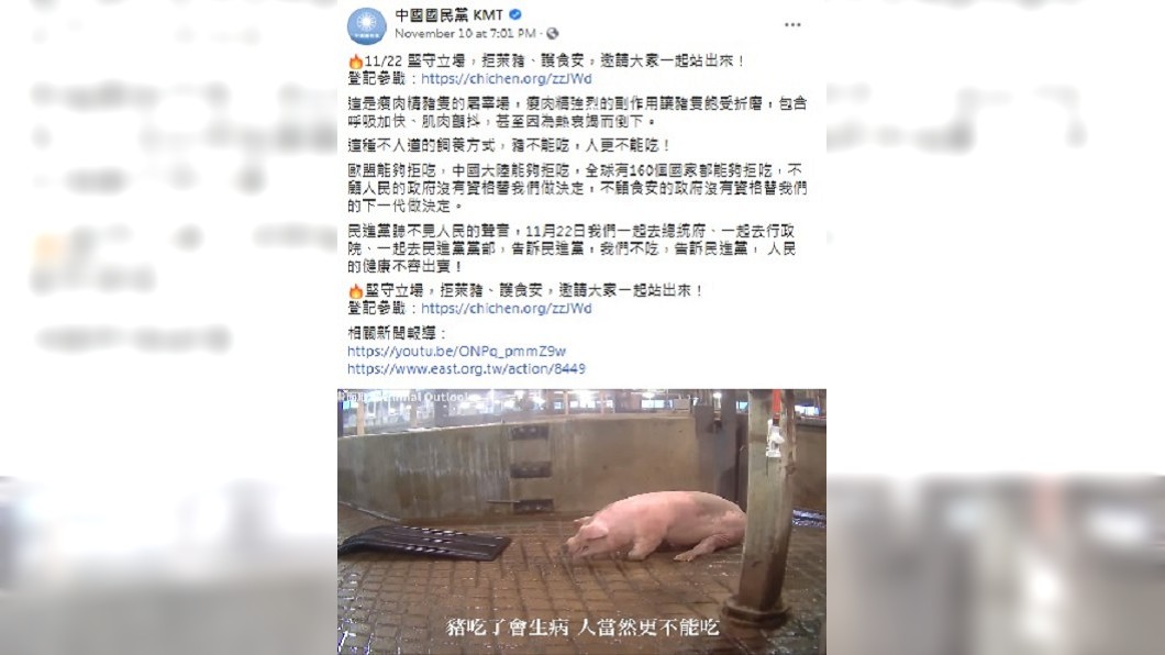 美動保團體已告知豬隻影片與萊劑無關　藍：自行求證