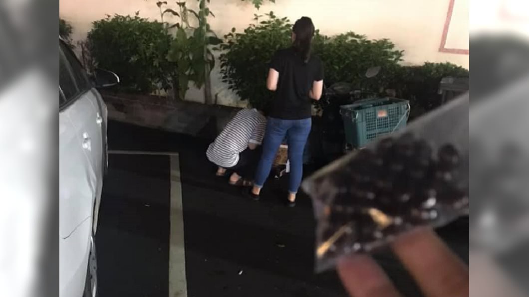 （圖／翻攝自台南爆料公社）