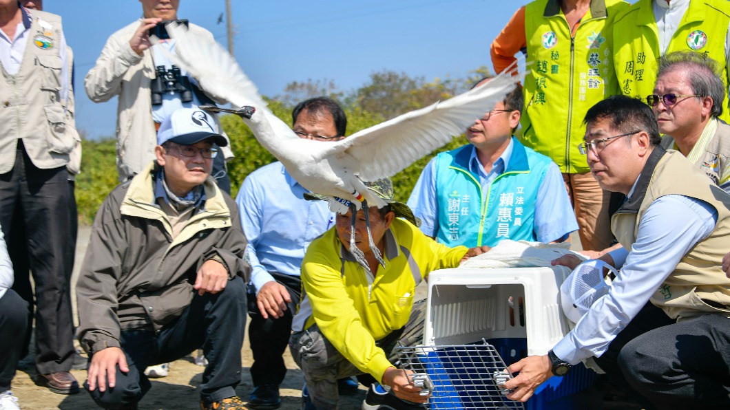 候鳥渡冬季 台南發起協尋2隻野放黑面琵鷺
