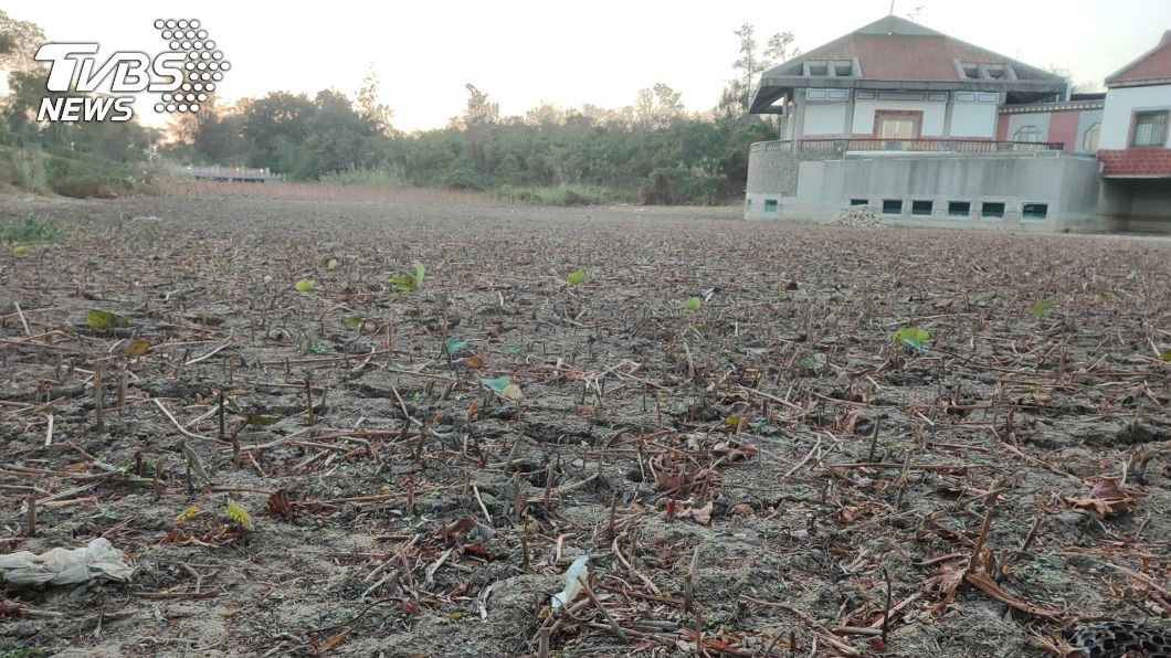 今年颱風0登陸 全球暖化恐使降雨更少乾旱更嚴重