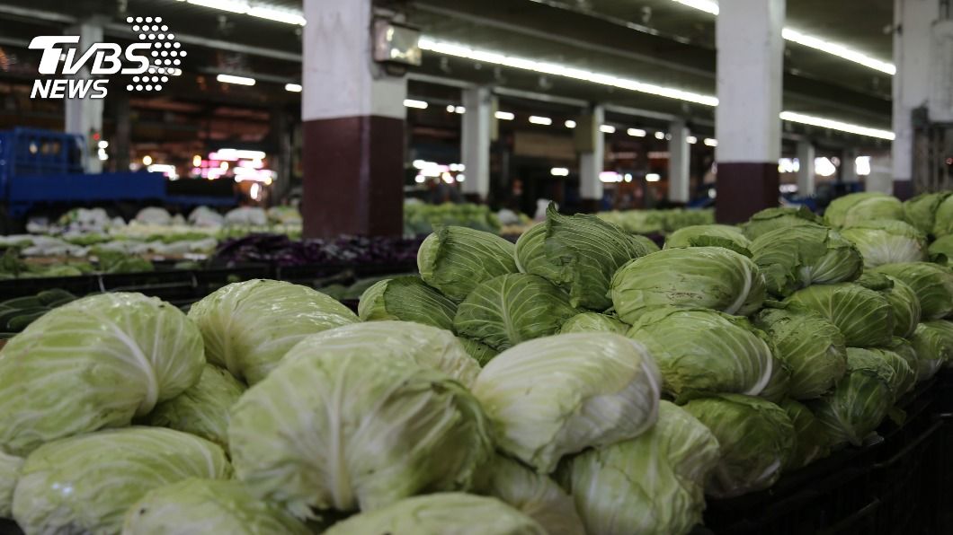 高麗菜價揚免驚　花蓮果菜市場冷藏設施穩定調節