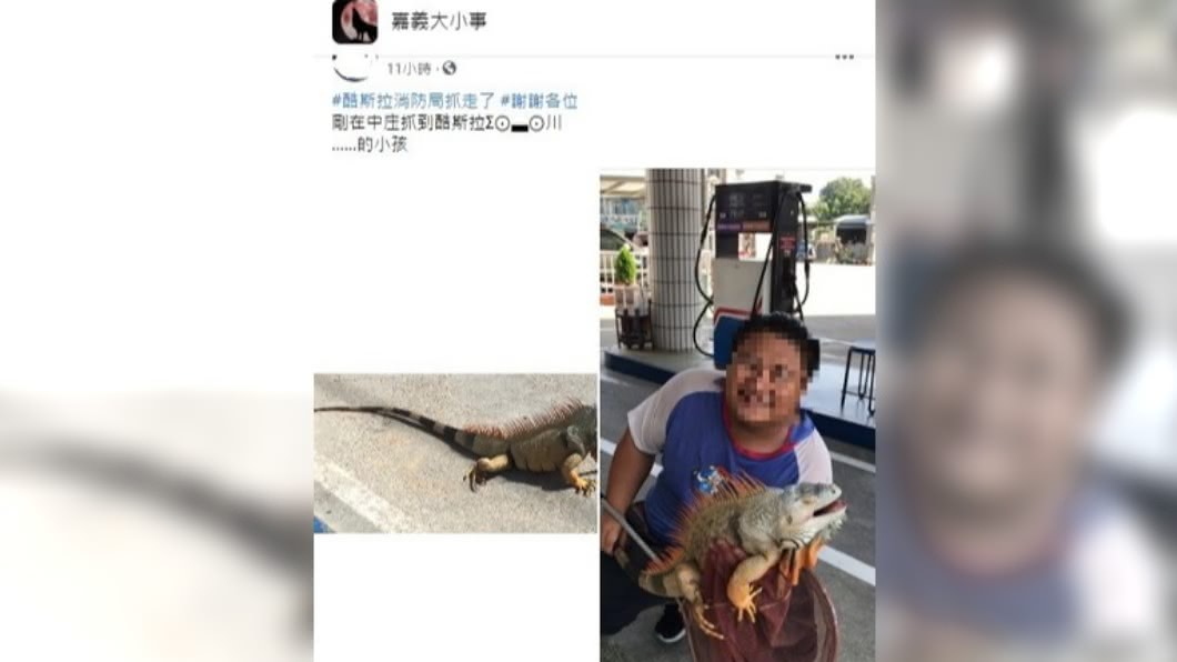 民眾在加油站見到綠鬣蜥。(圖/翻攝自臉書社團嘉義大小事)