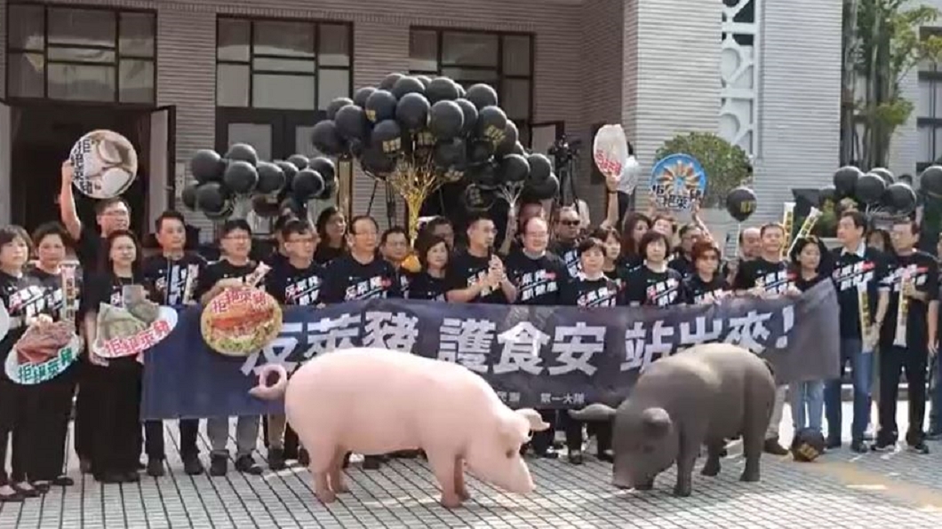 (圖/國民黨立院黨團臉書)