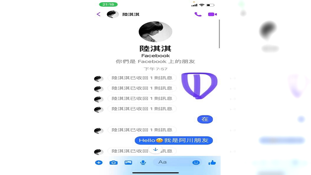 新北市前議員李婉鈺PO出與一名自稱小幫手的對話。(圖/翻攝自李婉鈺臉書)