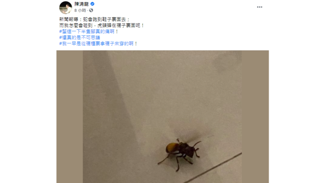 議員在家穿襪慘遭虎頭蜂螫傷。(圖/翻攝自陳清龍臉書)