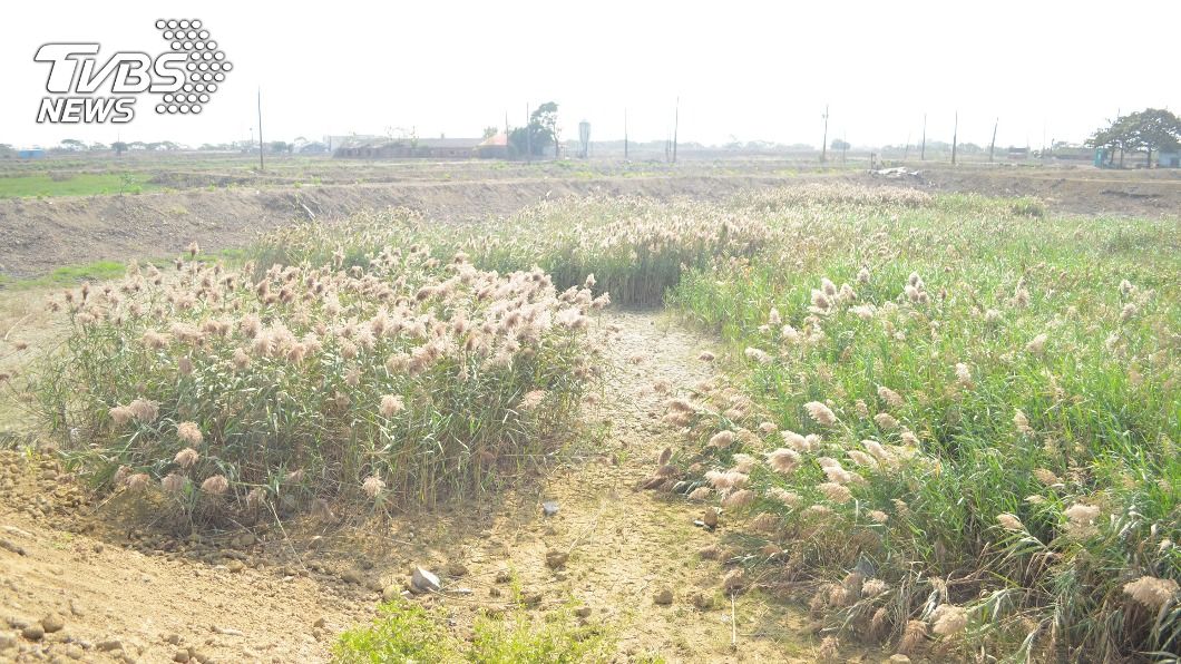台泥漁電共生案場動土　年發電量可供1.6萬家庭