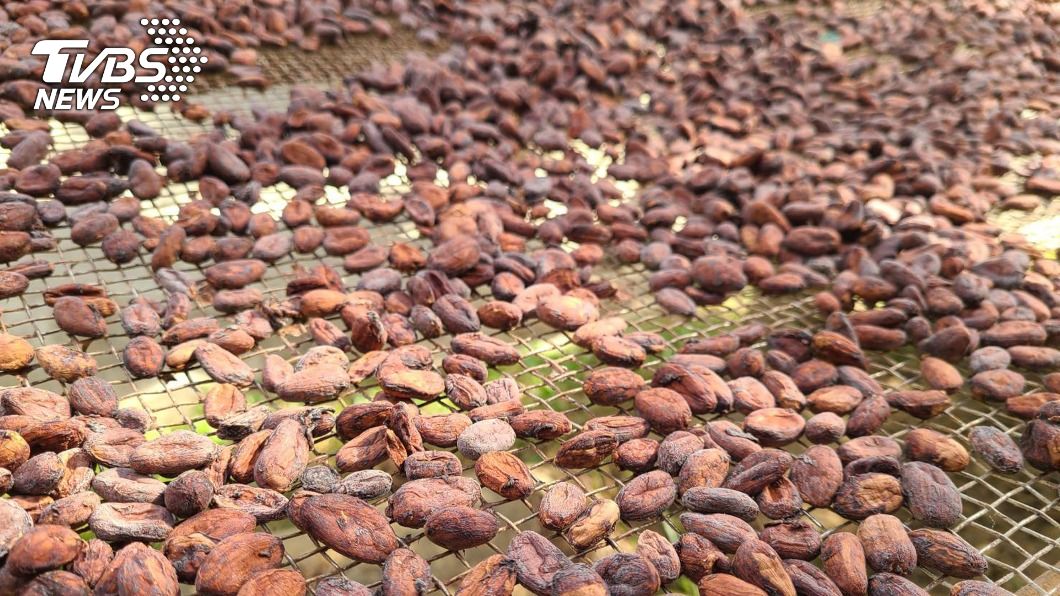 可可豆殼當茶飲原料 須標警語避免兒童、孕婦食用