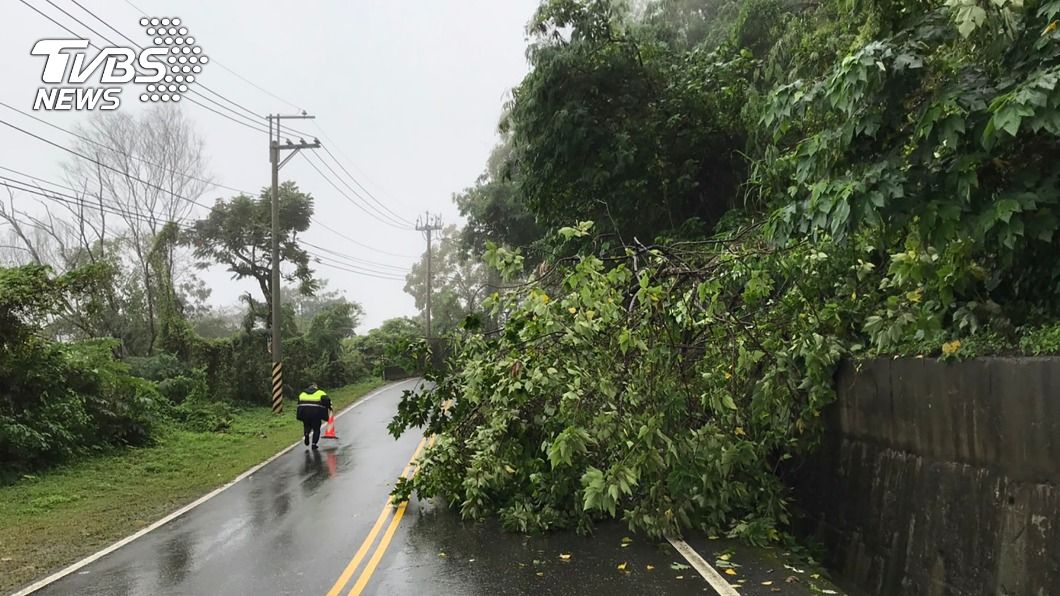 花蓮豪雨特報　台11甲線樹倒占用車道