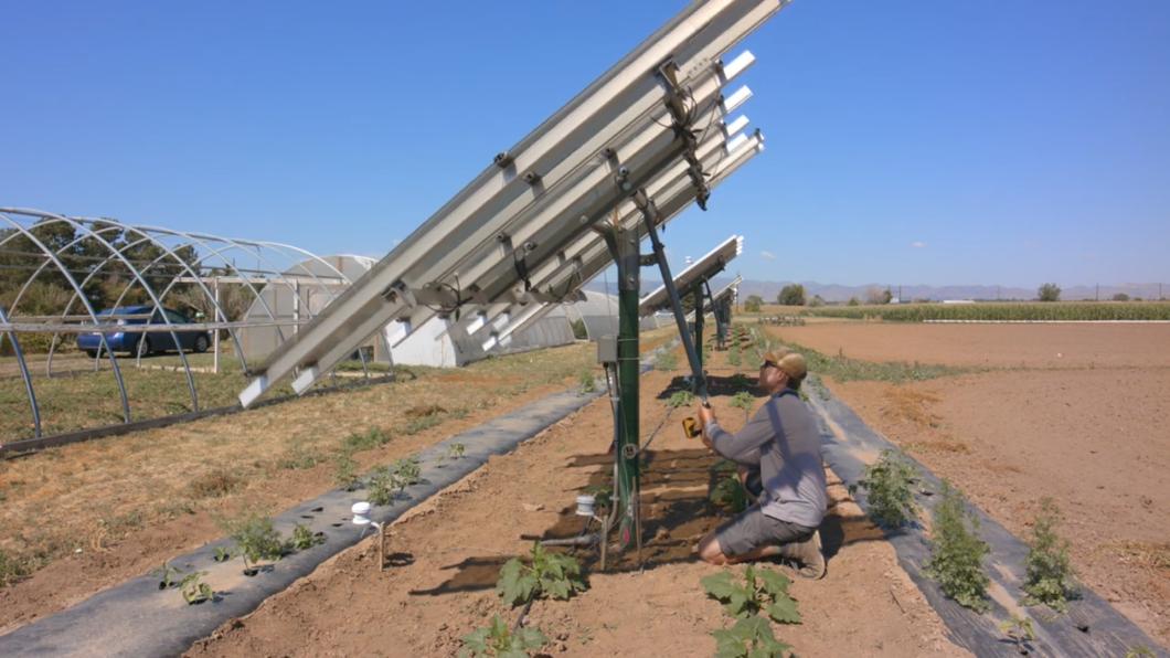 上面種電.下面種田 太陽能發電兼顧農業